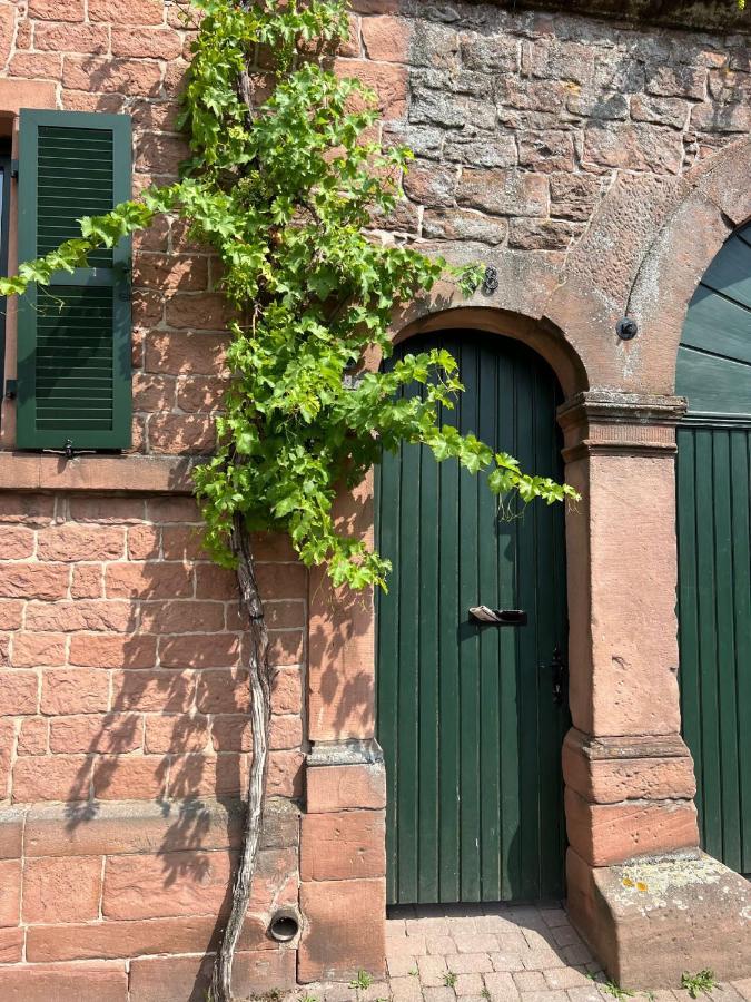 Restaurierter Altbau Mit Privatem Innenhof & Parkplatz Grossfischlingen 外观 照片